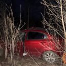 В Тверской области из-за лося произошло ДТП, где пострадали 2 человека
