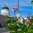Летом в Твери высадят более 3000 квадратных метров цветников