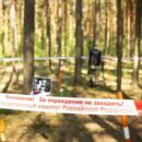 В Тверской области следователи проверяют информацию о незаконной вырубке деревьев