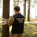 В Тверской области будут судить начальника лесного хозяйства, который незаконно вырубил лес на 13 000 000 рублей