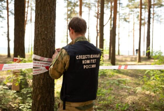 В Тверской области будут судить начальника лесного хозяйства, который незаконно вырубил лес на 13 000 000 рублей