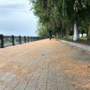 В Твери отремонтировали часть набережной Степана Разина