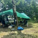В Тверской области 7-летний мальчик погиб после падения дерева на палатку