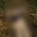 Под Калязином в реке Нерль утонула женщина