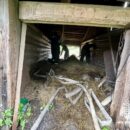 Спички детям не игрушка! В Ржевском округе дети подожгли сено и устроили пожар в сарае