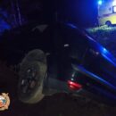 Ночная авария в Тверской области – из-за лося женщина не справилась с управлением и врезалась в дерево