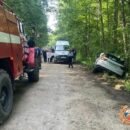 В Тверской области иномарка влетела в дерево, пострадала 15-летняя пассажирка