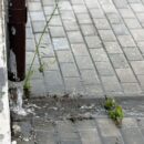 В Тверской области прогнозируют ливни, сильный ветер и грозы