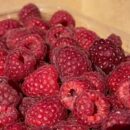 В Бежецке ярко и вкусно отметили День малинового варенья